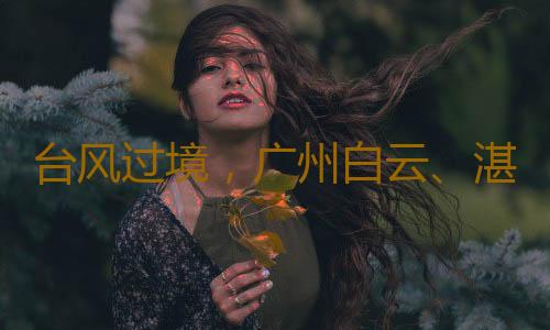 台风过境,广州白云、湛江机场航班运行已恢复正常